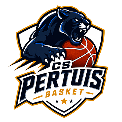logoCSPBasketGrisContourFooter